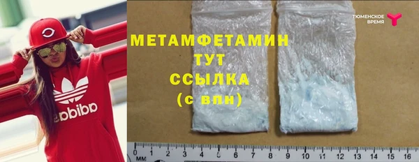 ПСИЛОЦИБИНОВЫЕ ГРИБЫ Вяземский