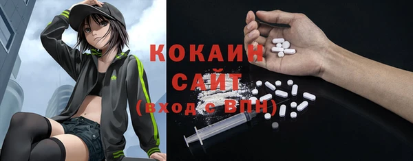 ПСИЛОЦИБИНОВЫЕ ГРИБЫ Вяземский
