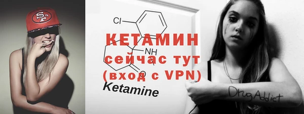 ПСИЛОЦИБИНОВЫЕ ГРИБЫ Вяземский