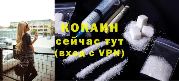 крисы Вязники